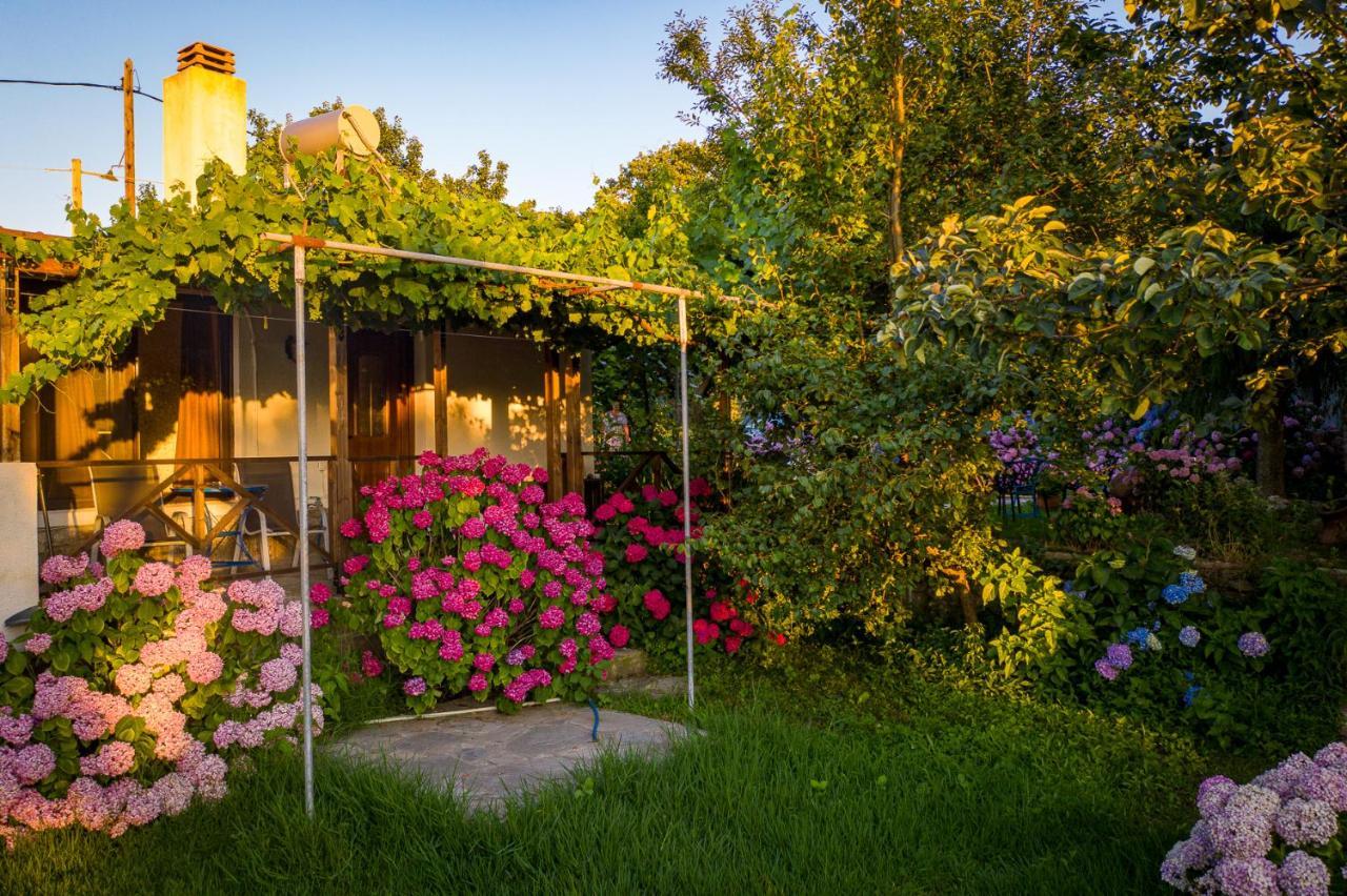 Alekas Studios Therma  Exterior photo
